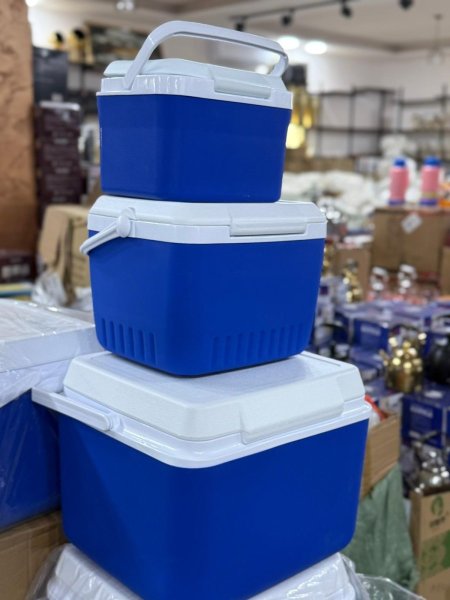 🧊 צידניות שימושיות – לשמור על המשקאות והאוכל טריים בכל מקום 🧊