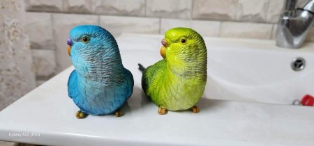 🕊️✨ קישוט תוכים – צבעים מלאי חיים!